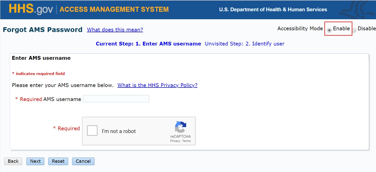 Accessibility Mode: Enable on Forgot AMS Password page